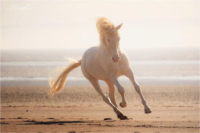 "Free Spirit" by Maja Lesar