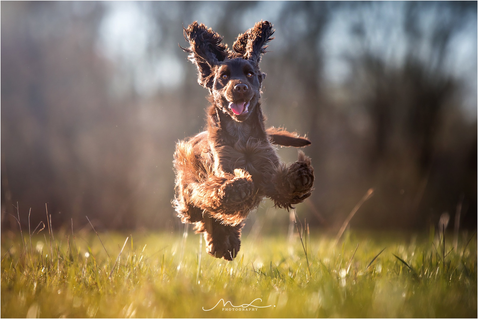 "Haaaaaappy" by Maja Lesar