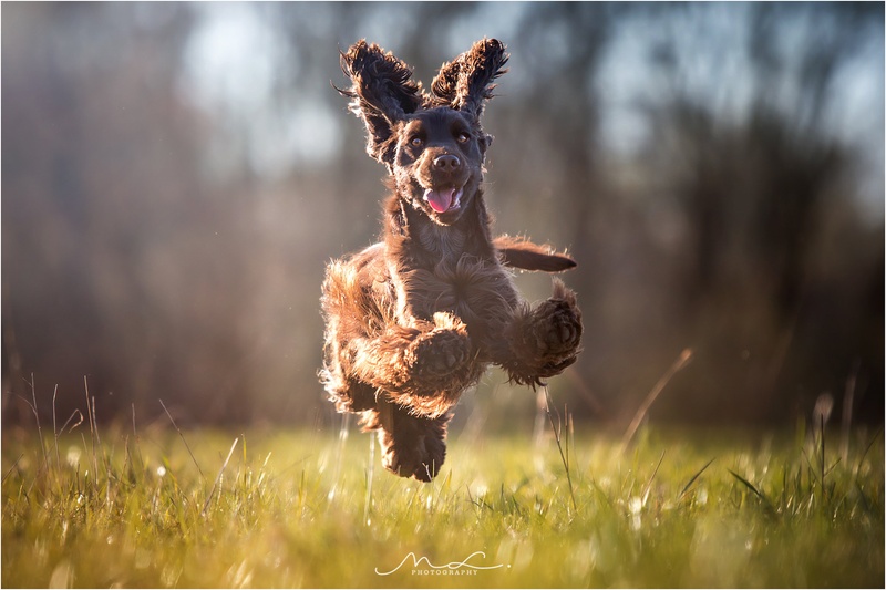 "Haaaaaappy" by Maja Lesar