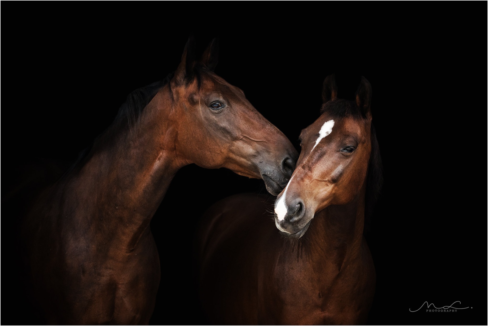 "Don't kiss and tell" by Maja Lesar