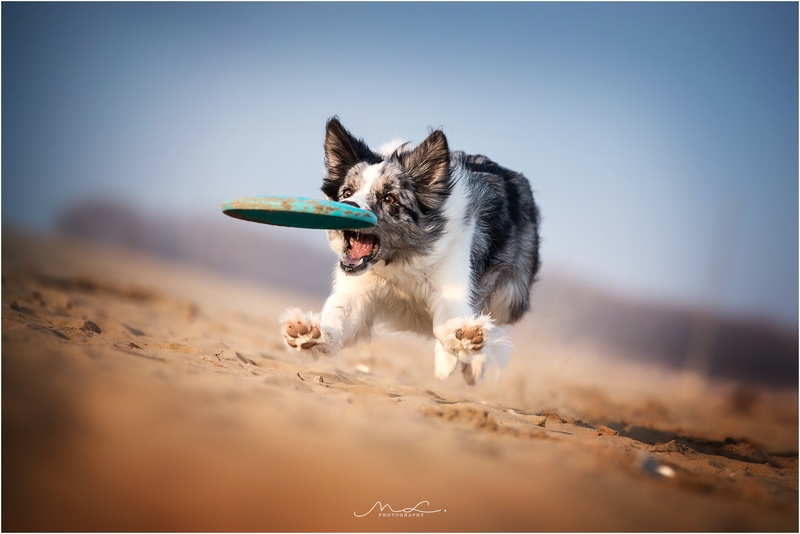 "Moj!" by Maja Lesar