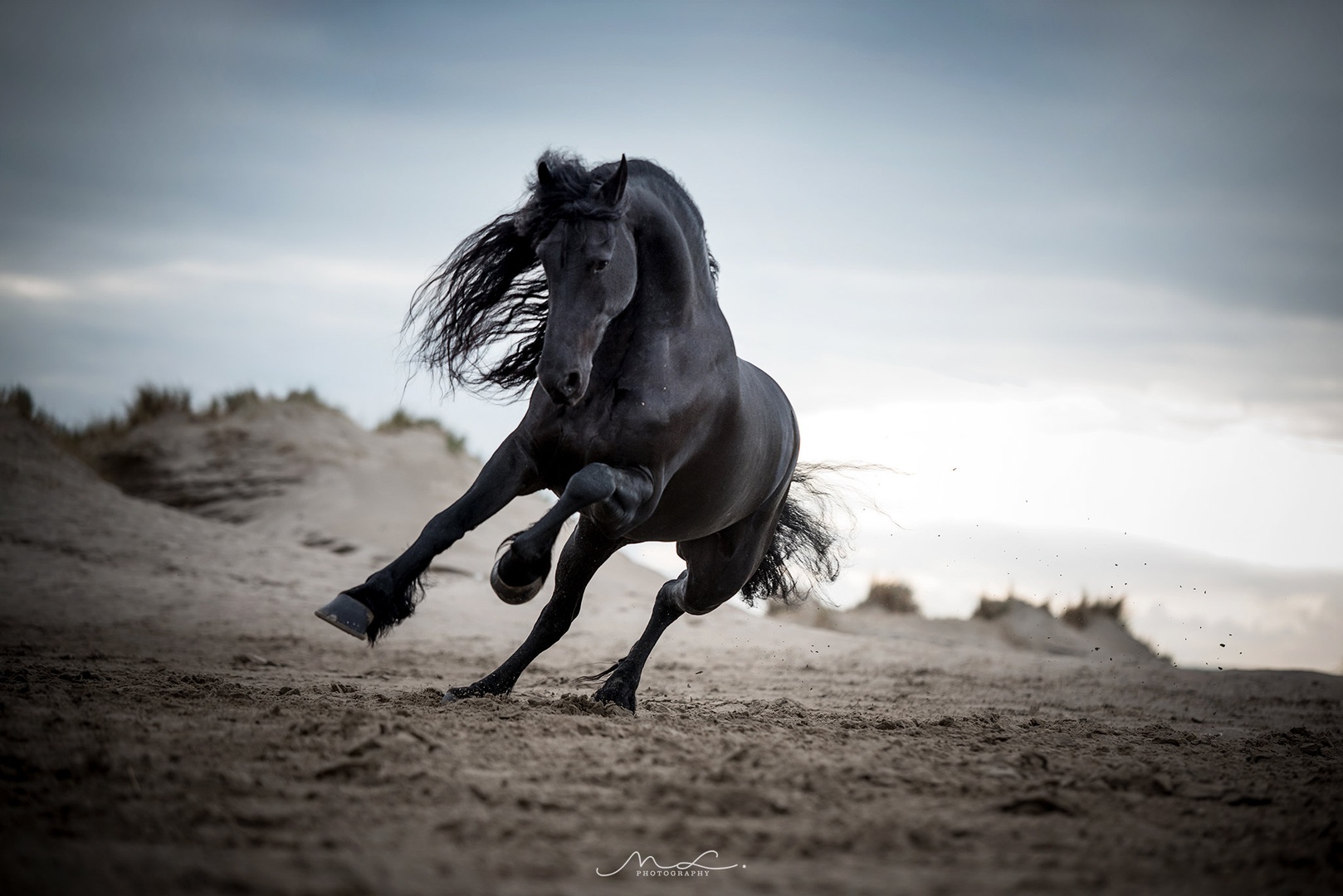 "Power" by Maja Lesar