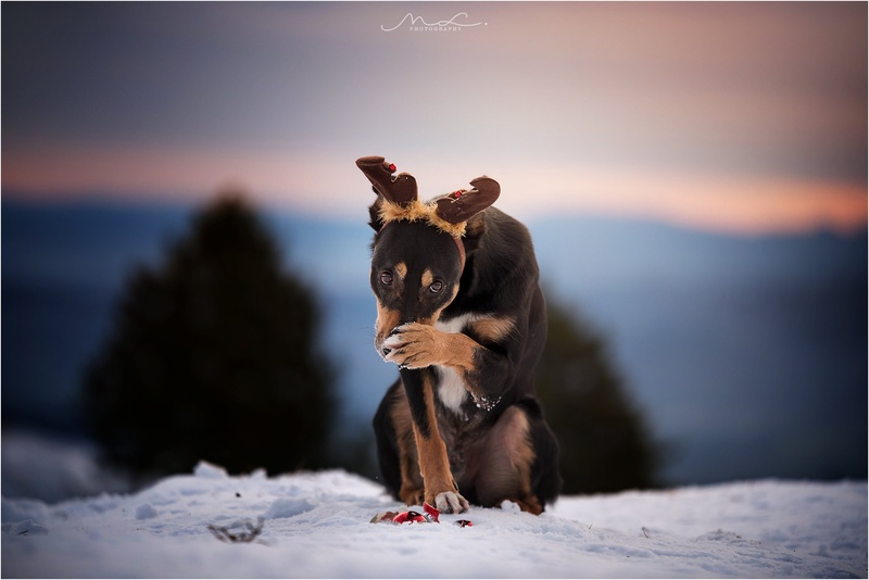 "Lump" by Maja Lesar
