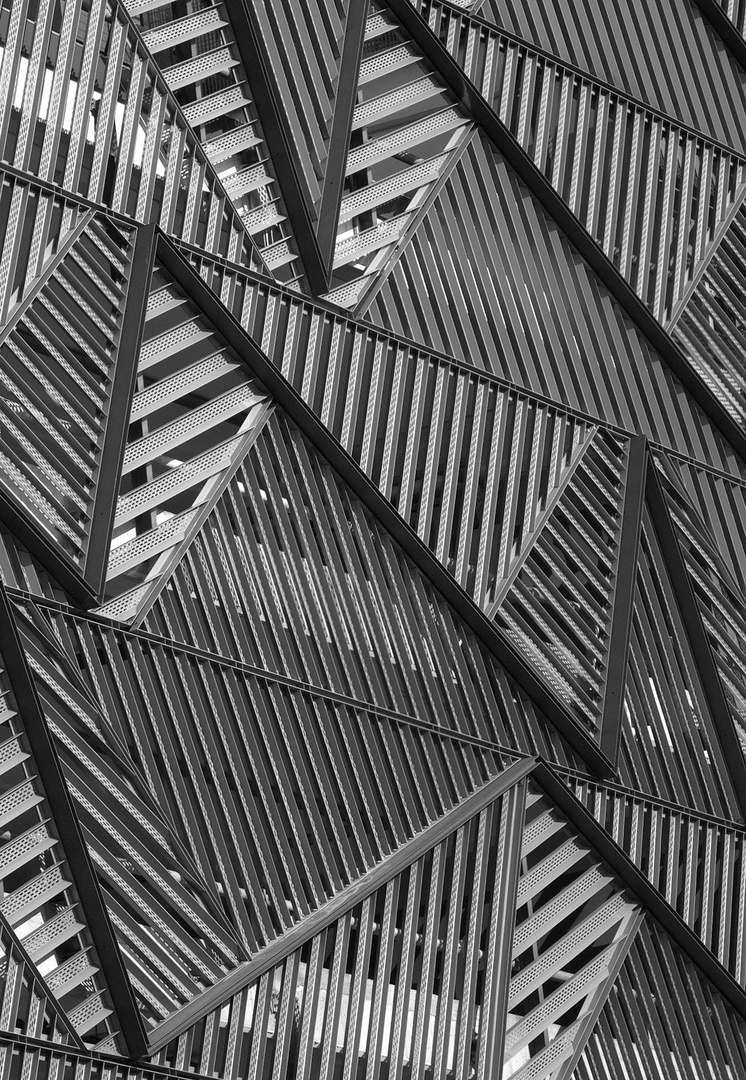 Ljubljana & Her Lines by Marko Predovič