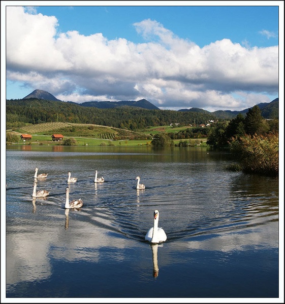 Labodje jezero by miki