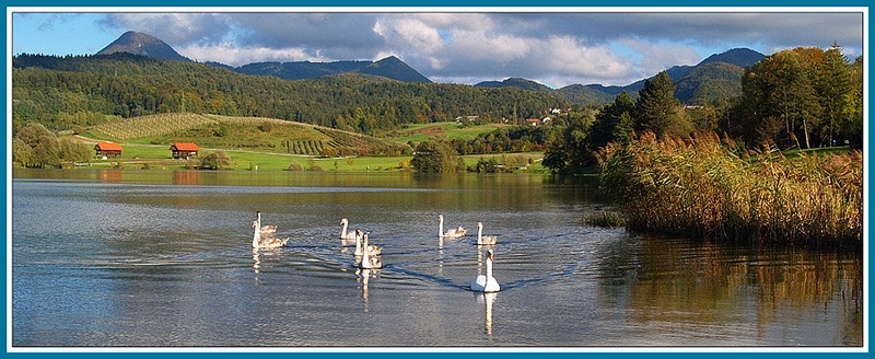 Labodje jezero by miki