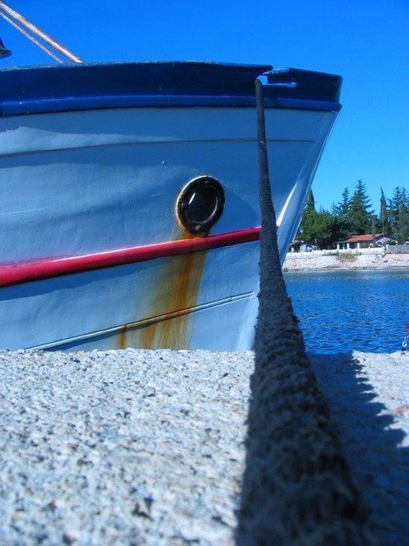 Na povodcu by