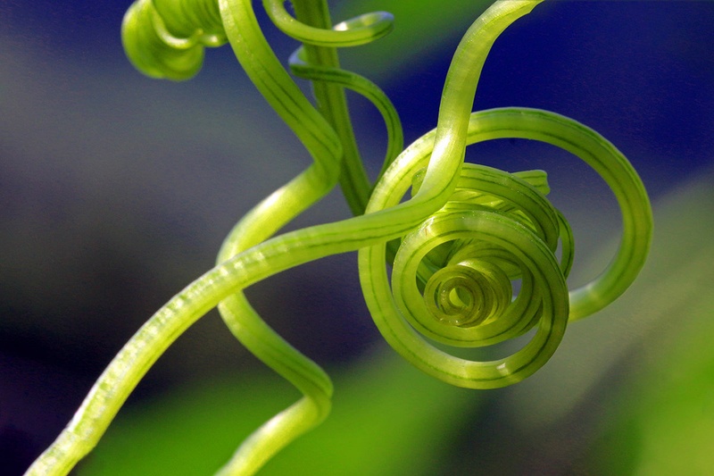 Spirale by Rudi Jereb