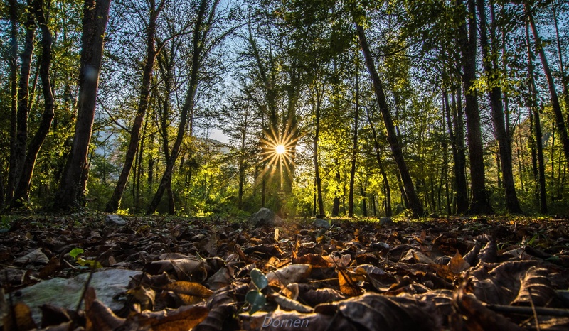 sonce by Domen Rudolf