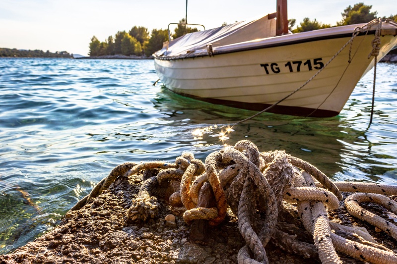 Prelep dan ob prelepem razgledu. by David Smole