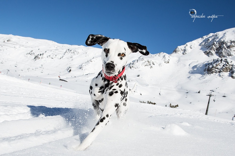 happy winter by Natascha Cretton