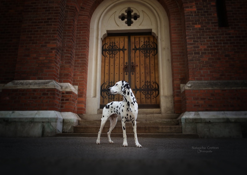 Lily in the city by Natascha Cretton
