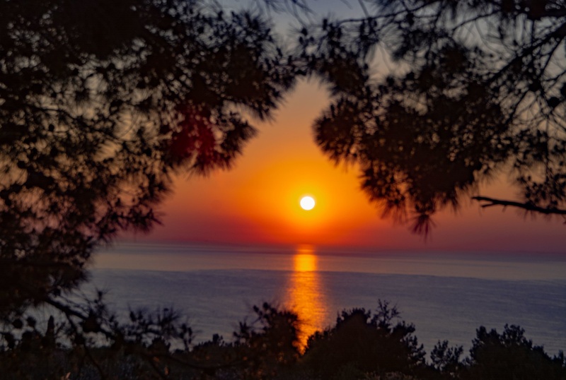 OUT of FOCUS by Jan Lever