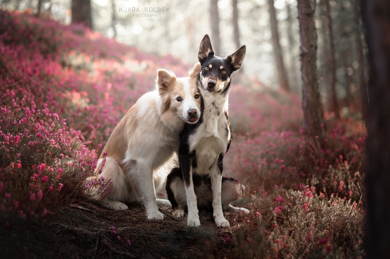 Best Buds by Kjara Kocbek