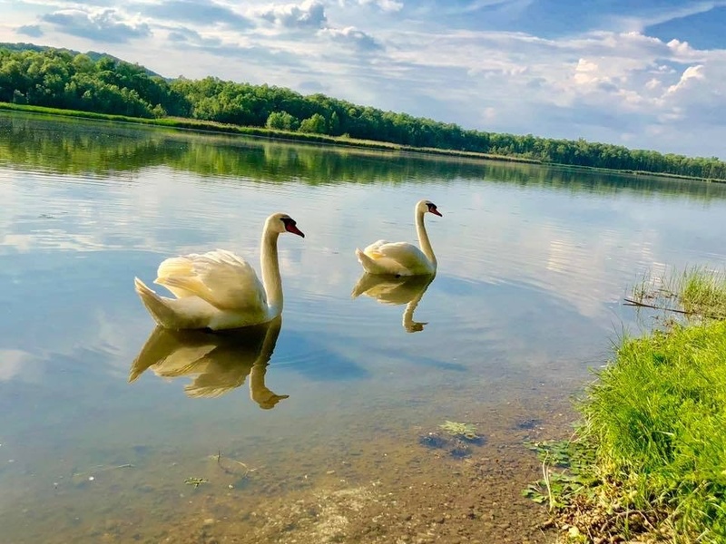 Ledavsko jezero by Štefan Renič