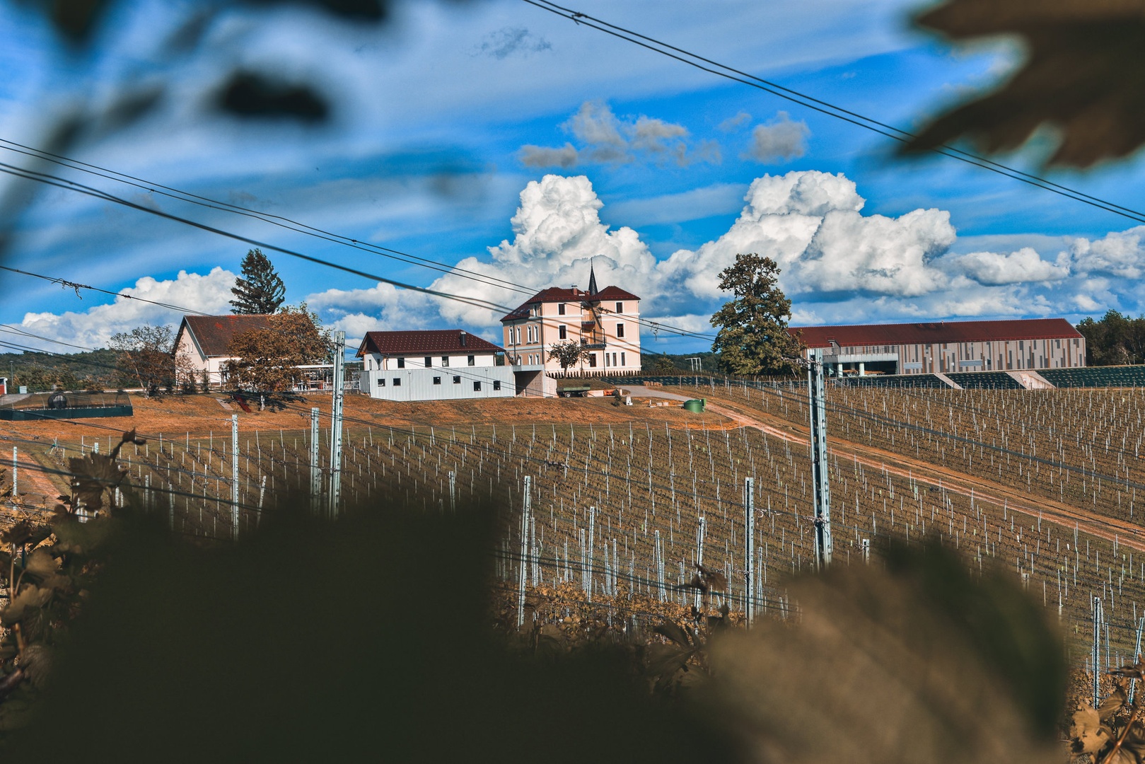 Vinska klet Marof by Štefan Renič