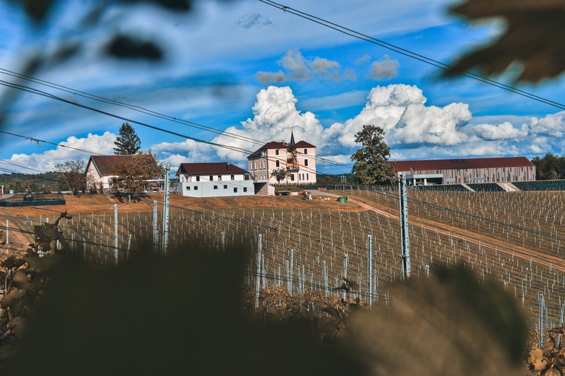 Vinska klet Marof by Štefan Renič