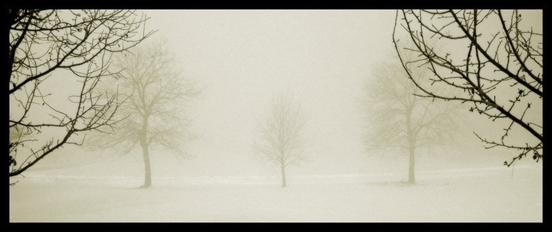 Megla v Dvorski vasi by Peter
