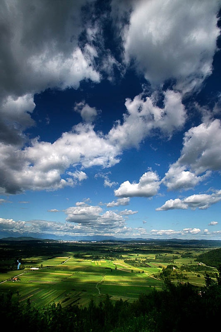 perfect day by