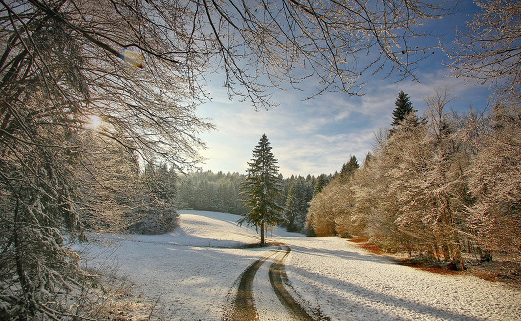 welcome to nature by