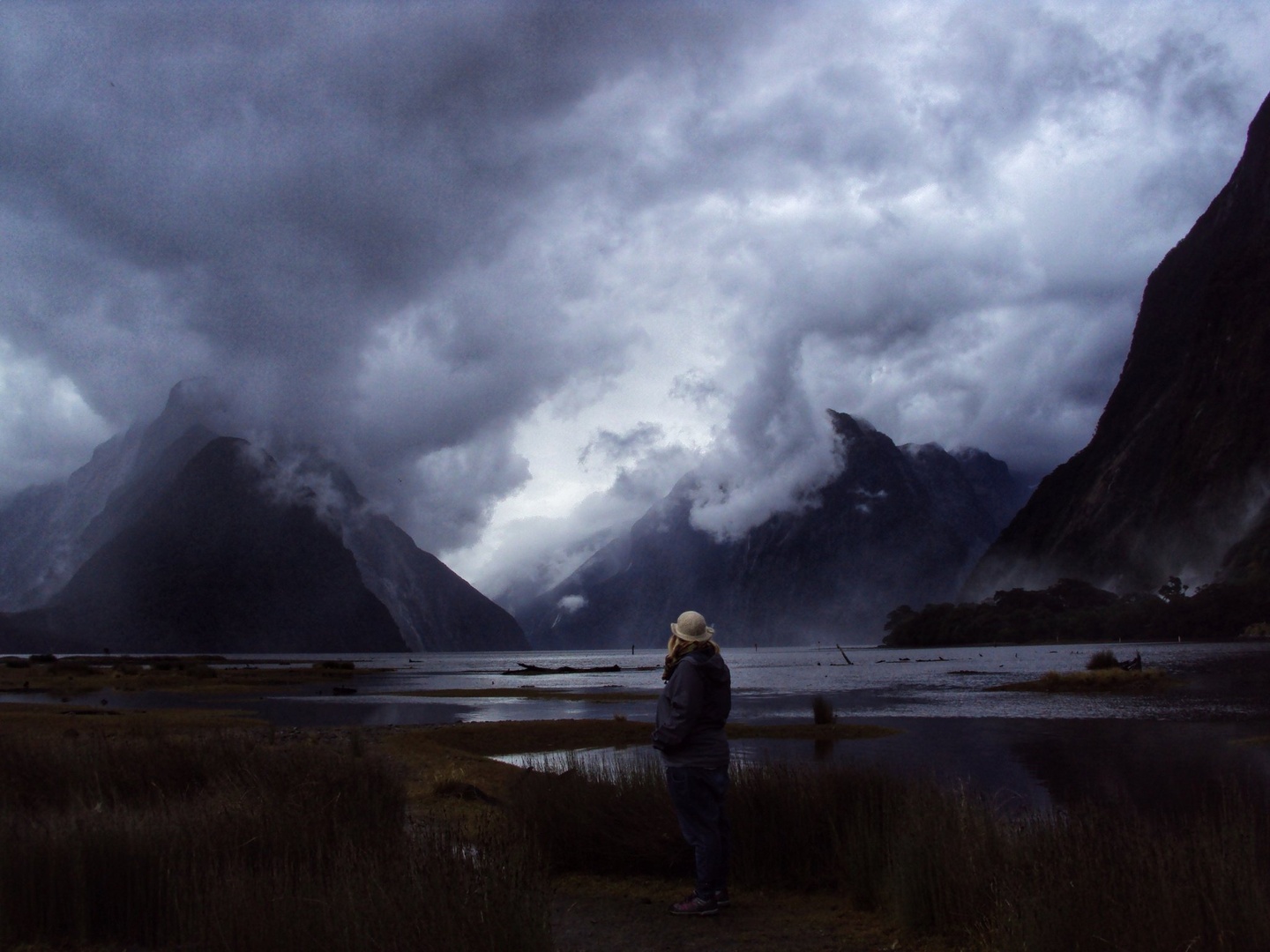 Milford Sound by Artificial Freedom