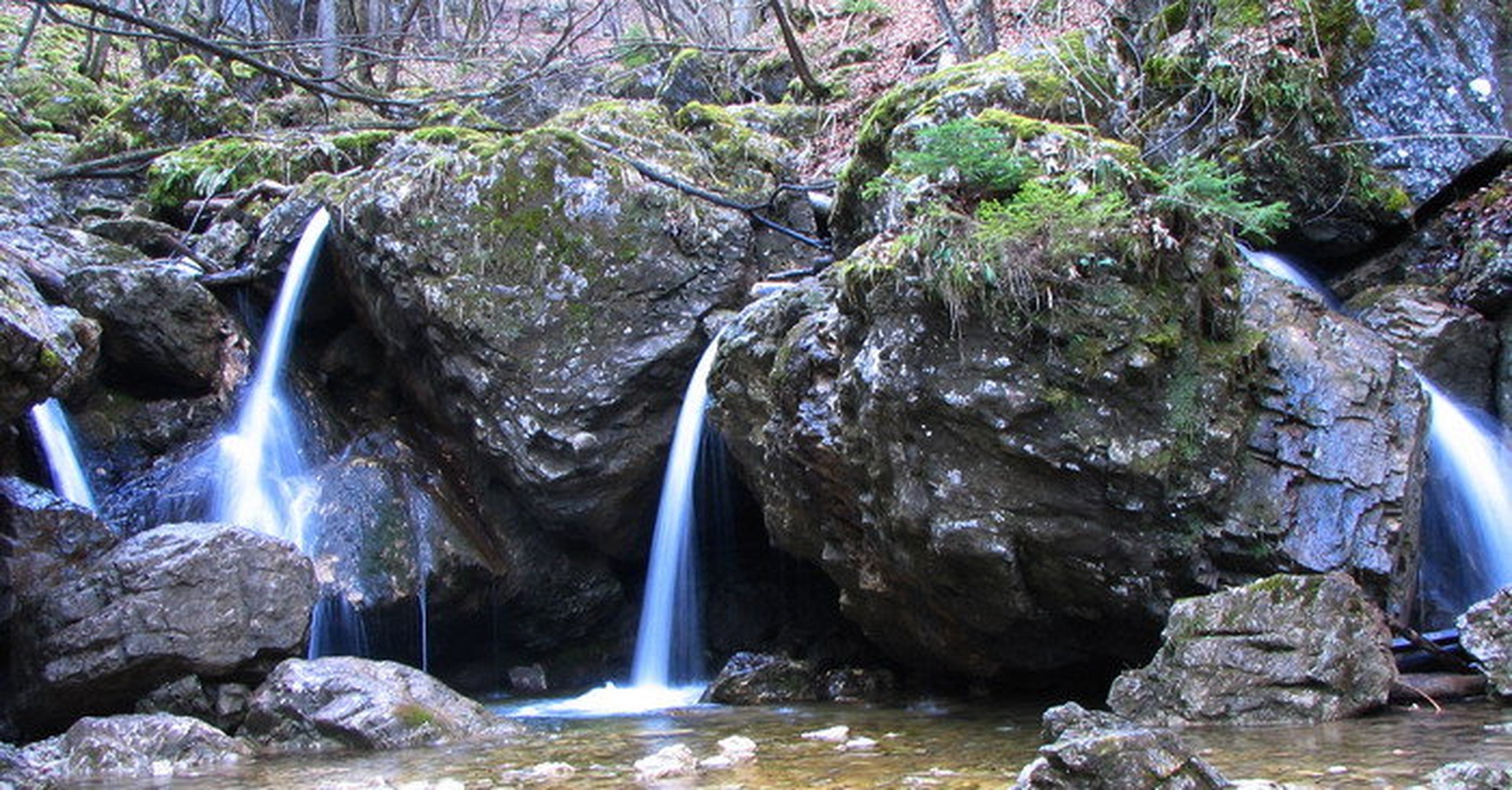 štirje by