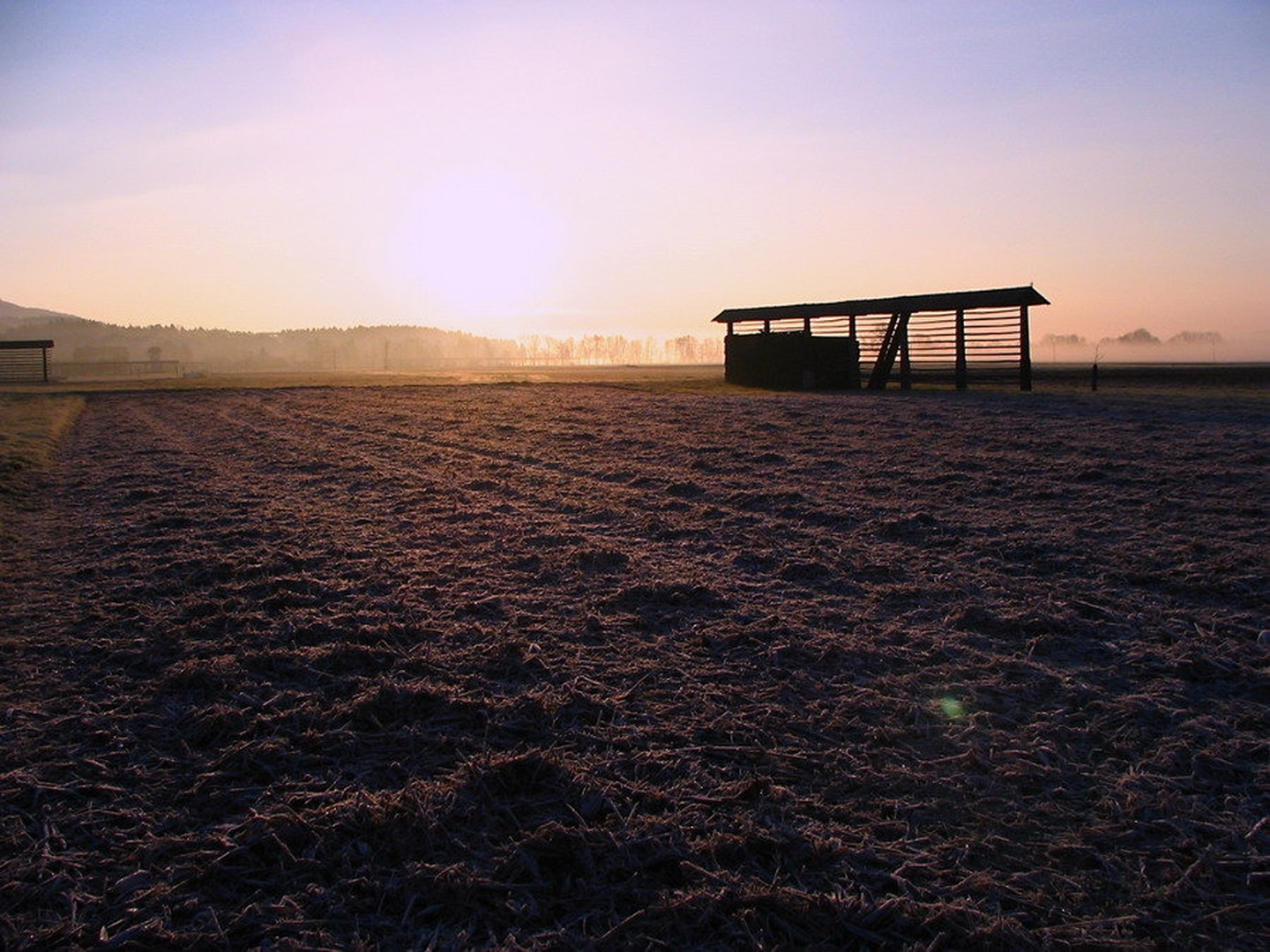 JUTRO NA POLJU by