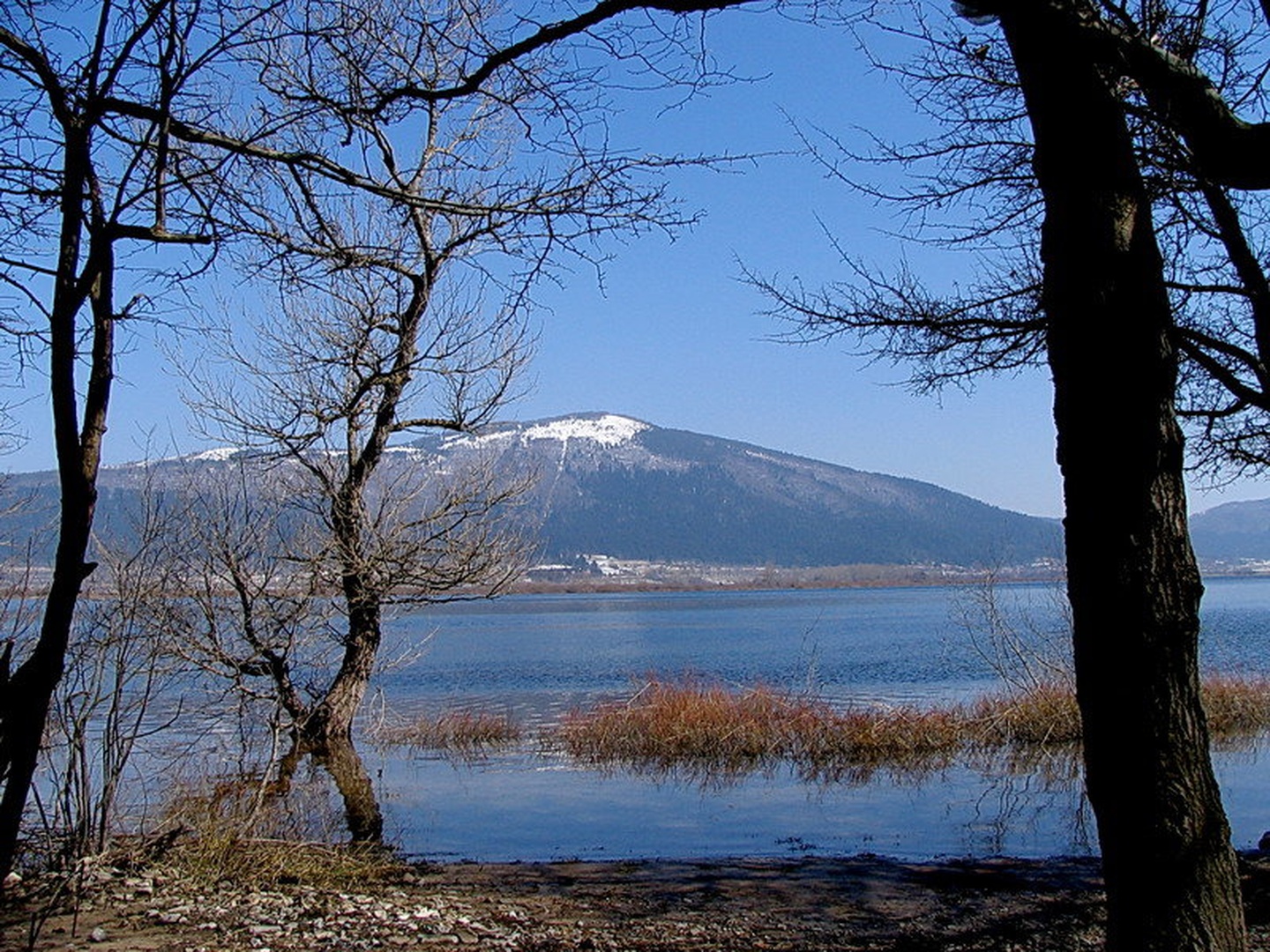 SLIVNICA by