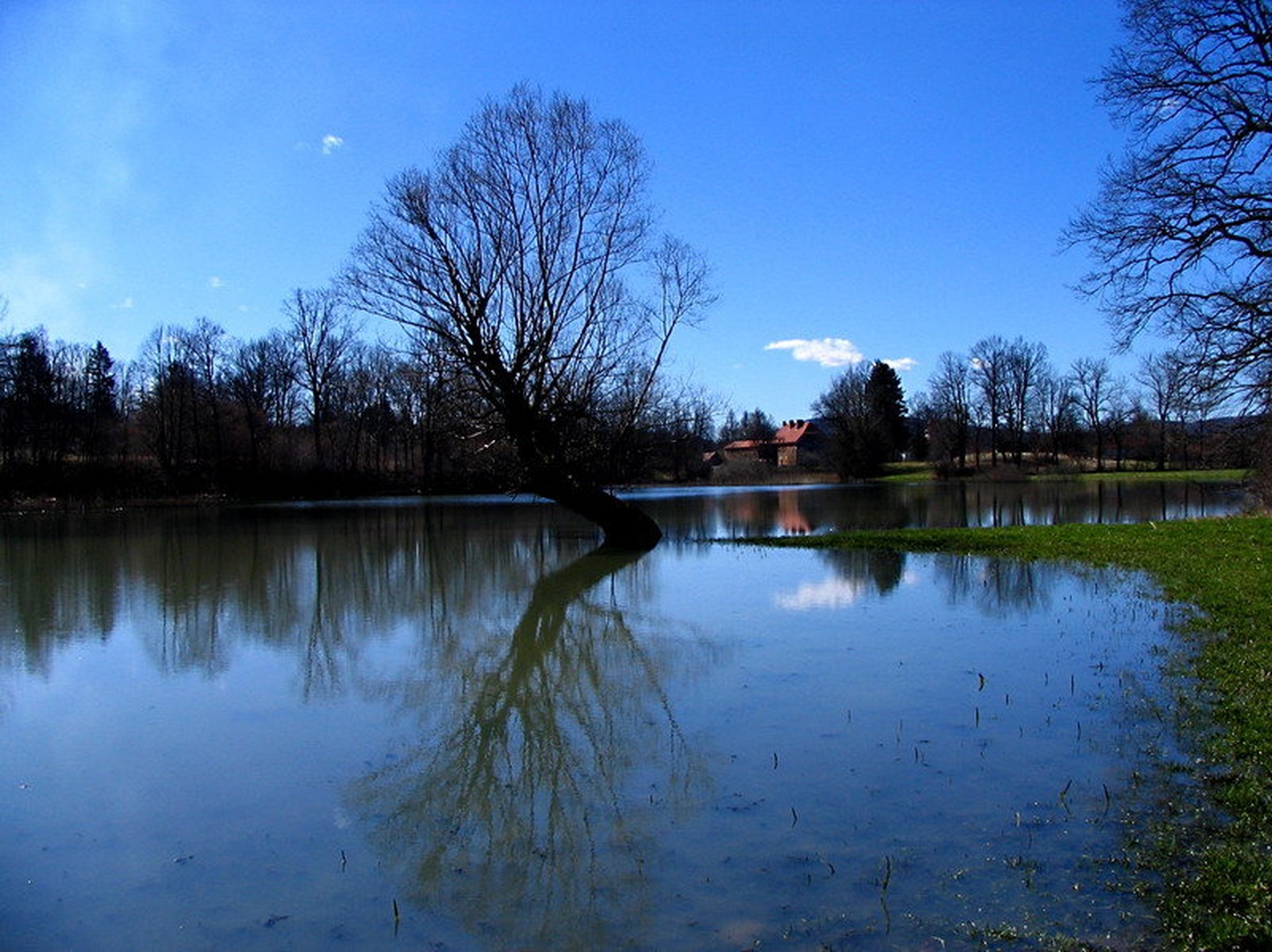 ZA VASJO by