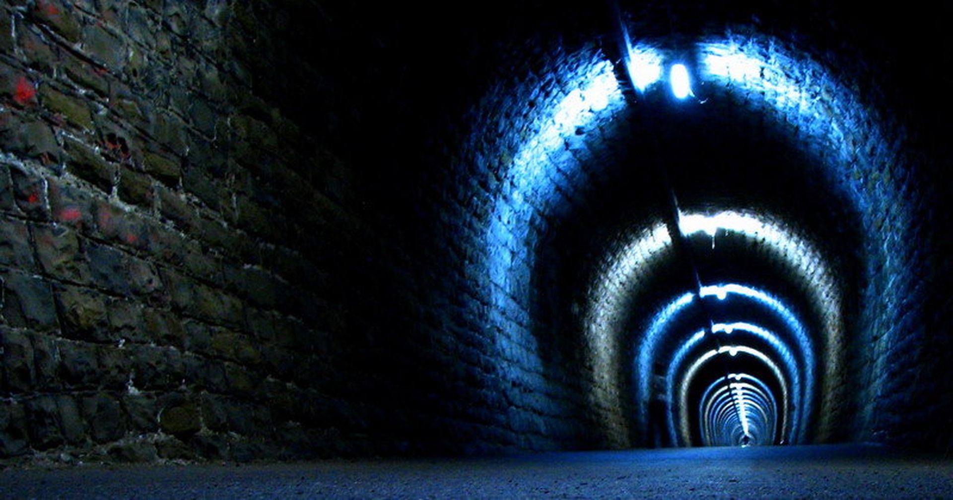 TUNEL by