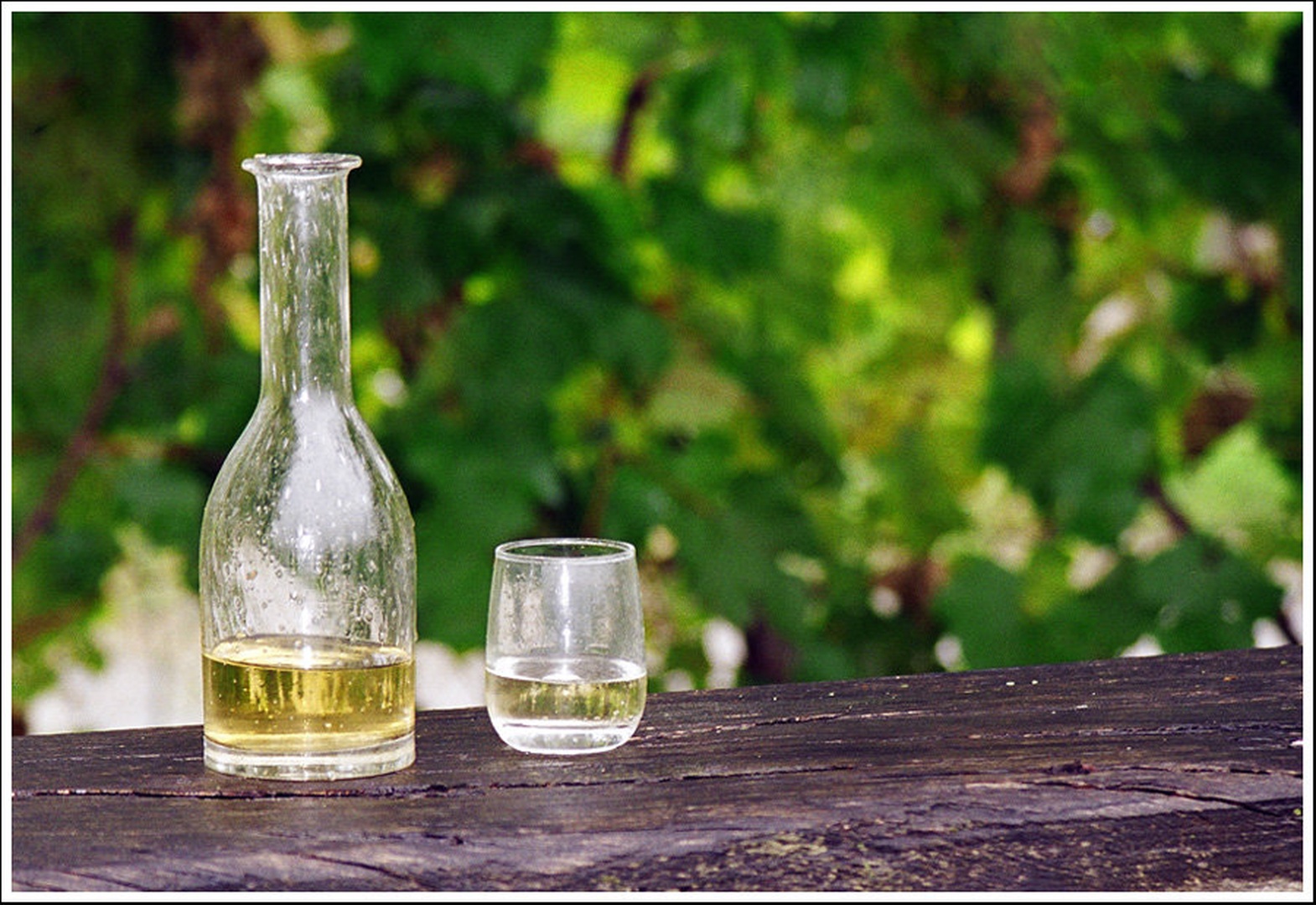 ' Wonderfull Wino' by Boris B. Voglar
