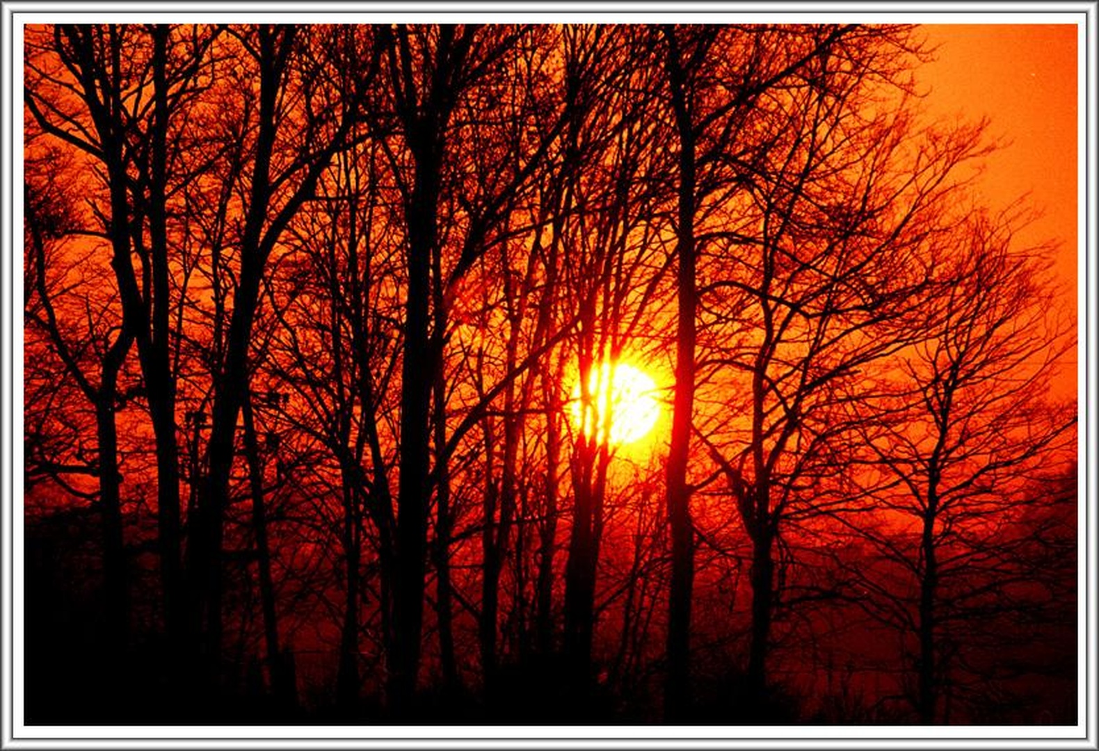 Sun Rise by Boris B. Voglar