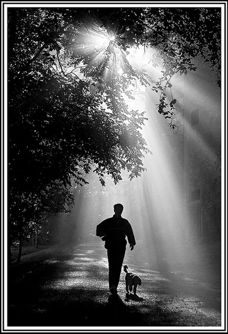 'Sun's Revelation'-b/w by Boris B. Voglar