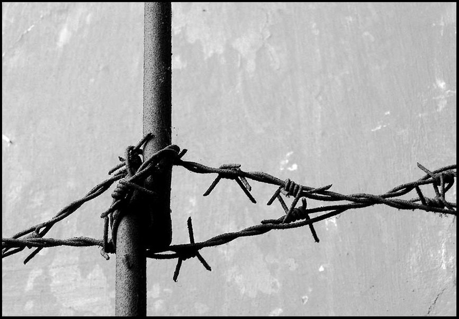 'Freedom' by Boris B. Voglar