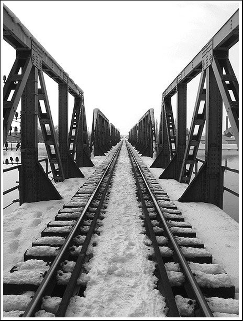 Bridge to oblivion by Boris B. Voglar