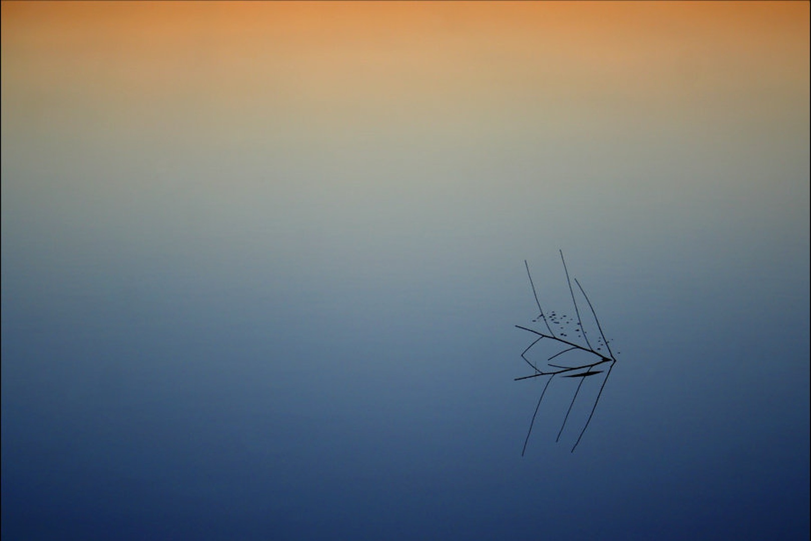 'The shortest straw' by Boris B. Voglar
