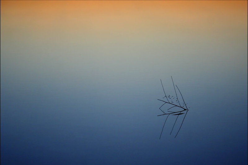 'The shortest straw' by Boris B. Voglar