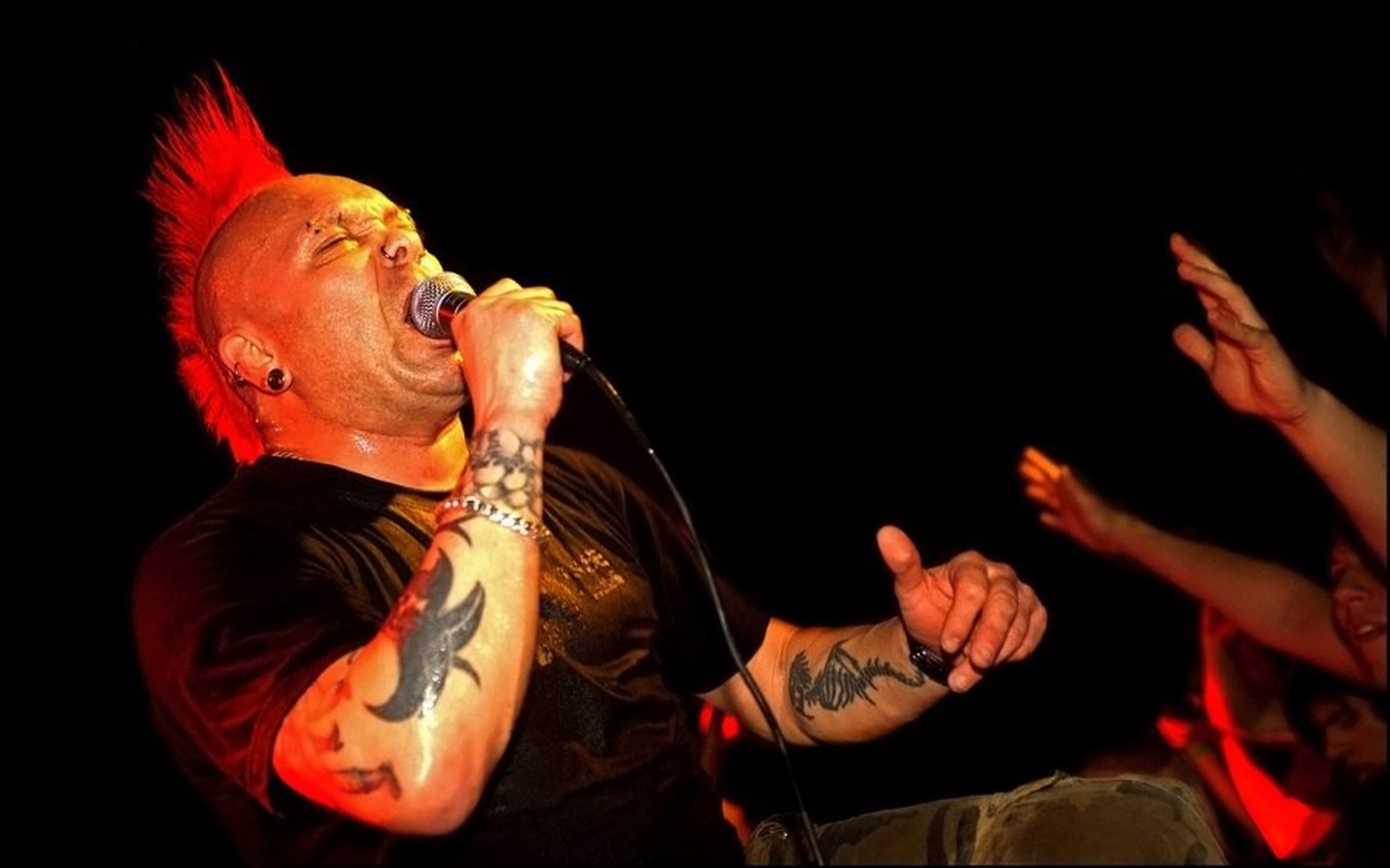 'Wattie' - The Exploited by Boris B. Voglar