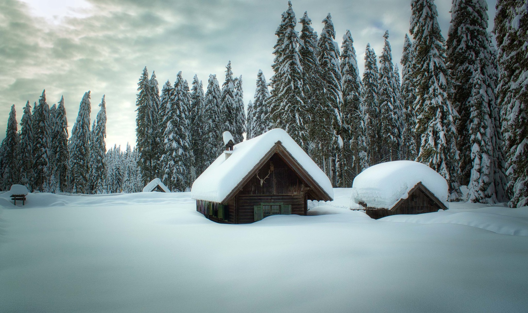 zimska pokljuka by Miroslav Asanin