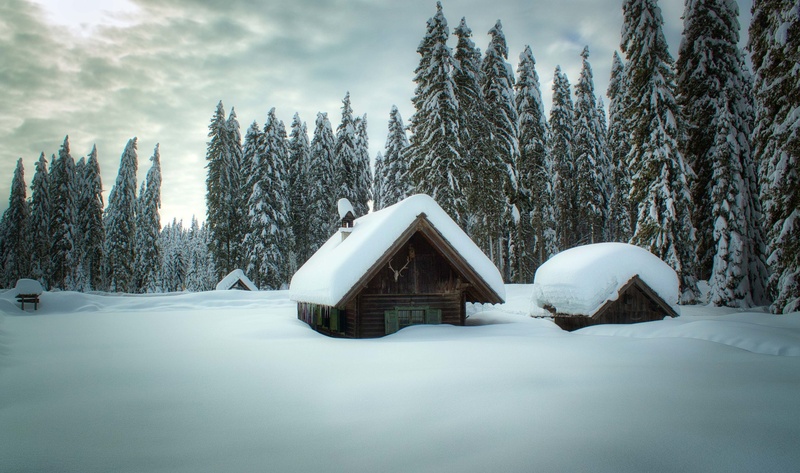 zimska pokljuka by Miroslav Asanin
