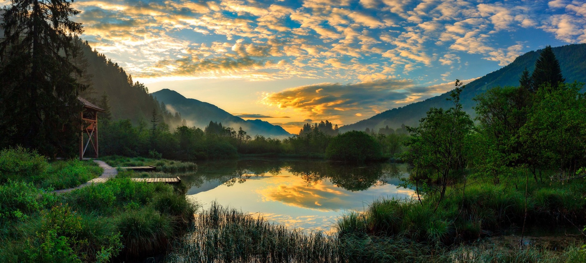 jutro na zelencih by Miroslav Asanin