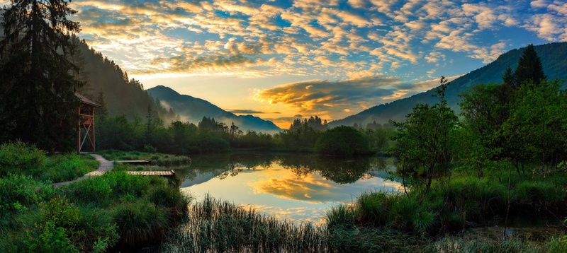 jutro na zelencih by Miroslav Asanin