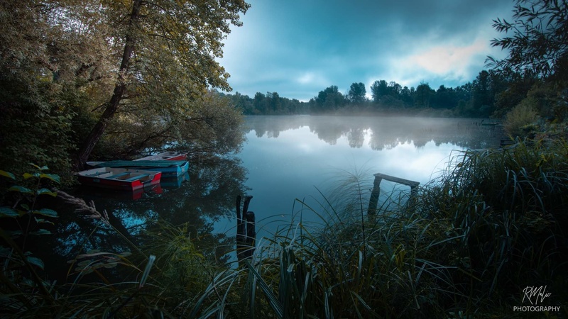 Jutro na ribniku by Radenko Malic