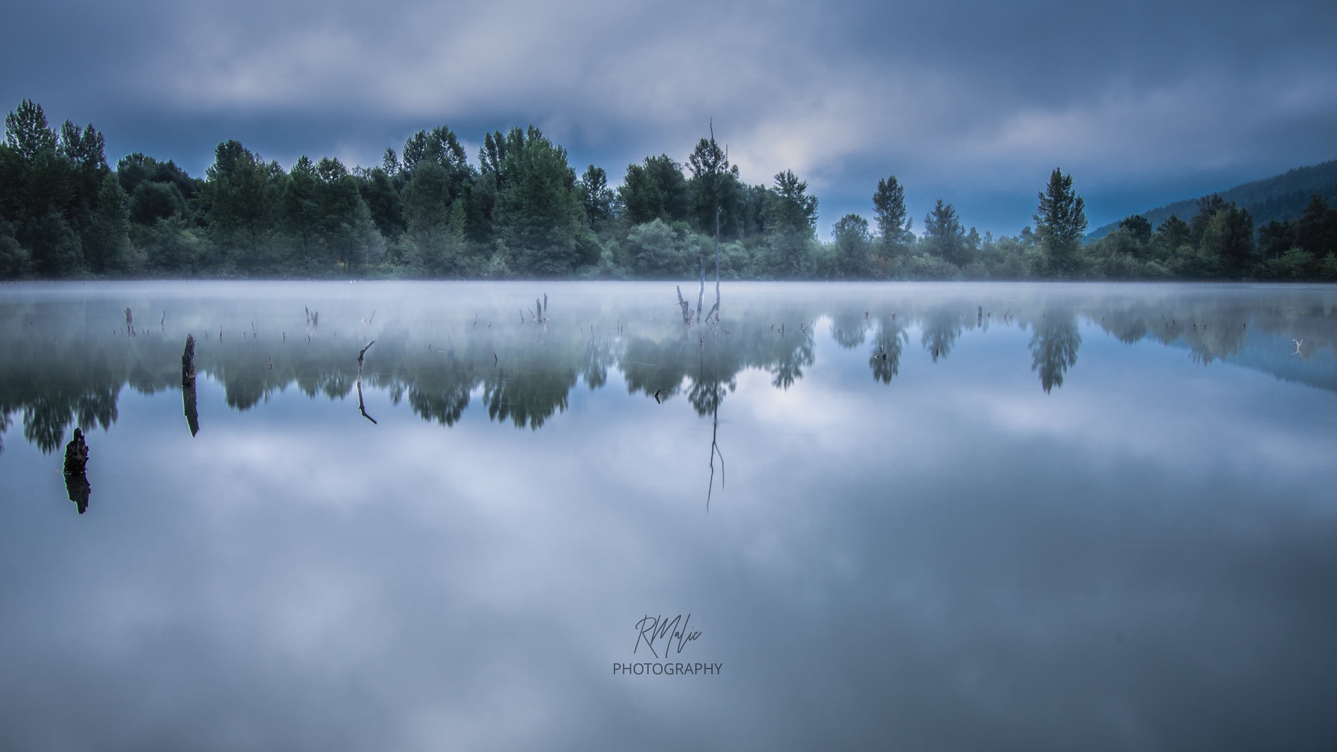 Jutro na ribniku by Radenko Malic