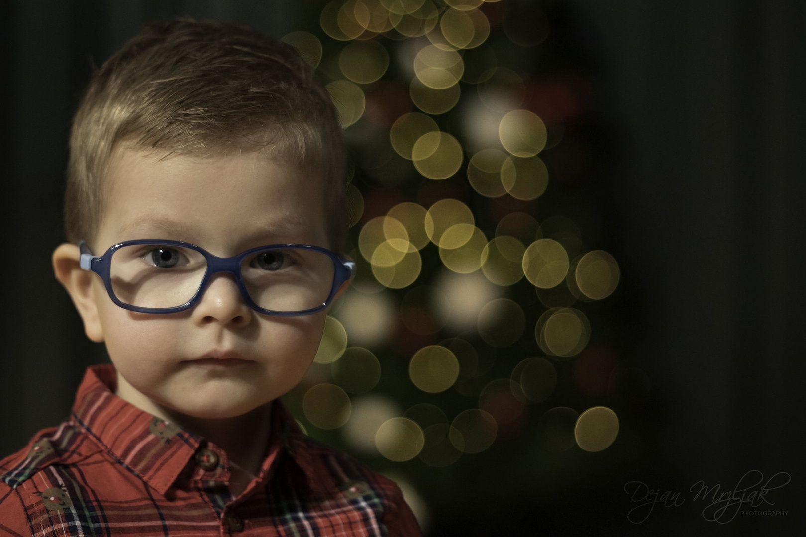 Decemberski portret by Dejan Mržljak