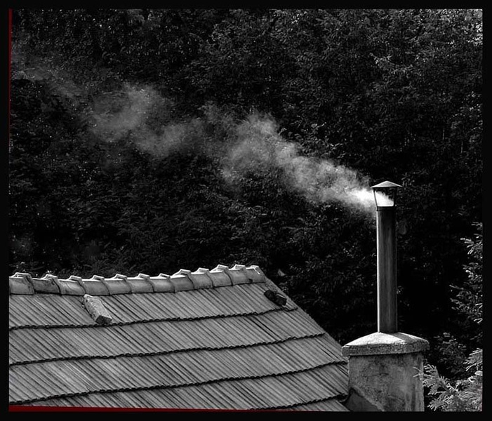 Dim. by žužek