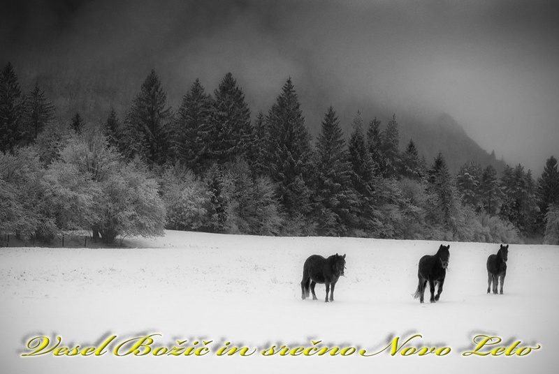 Srečno by kanuc
