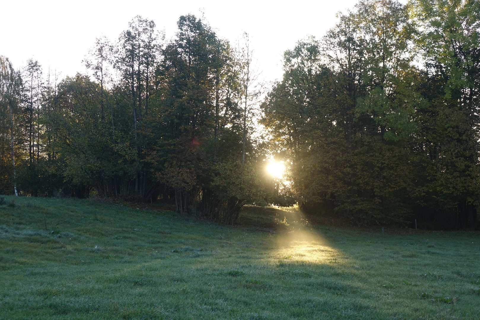 jutranje sonce by gorazd č