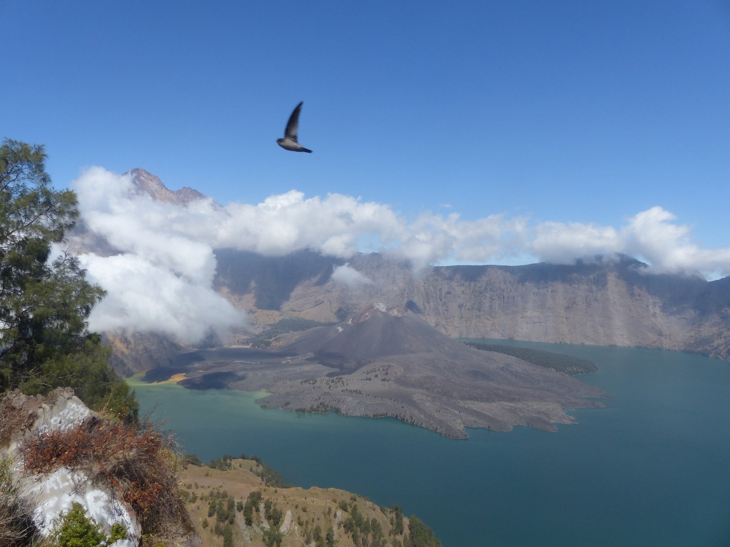 Mount Rinjani by gorazd č