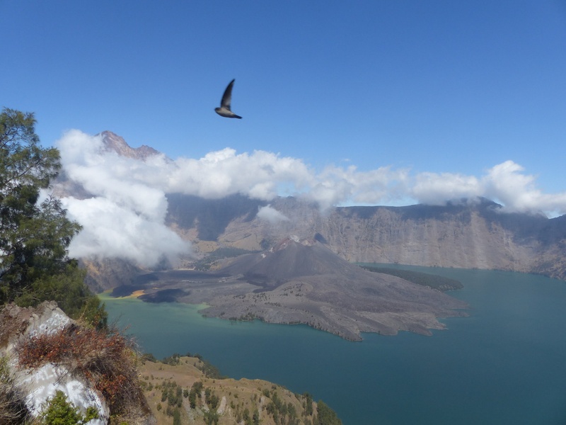 Mount Rinjani by gorazd č